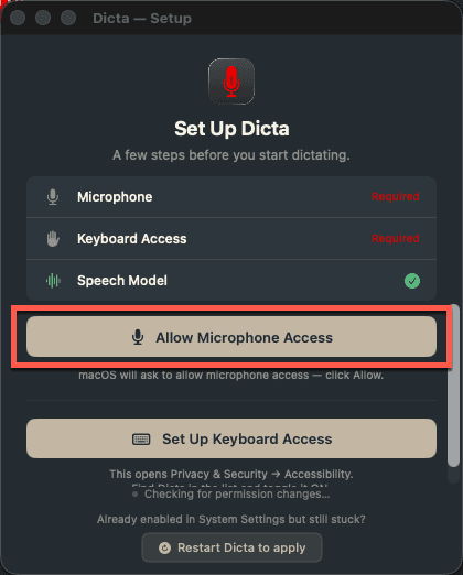 Setup window — click Allow Microphone Access